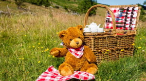 Teddy bears picnic